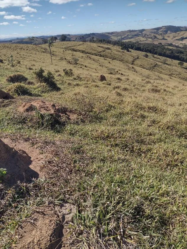 Imagem Vendo terreno em Crucilândia com 48 hectares de terra