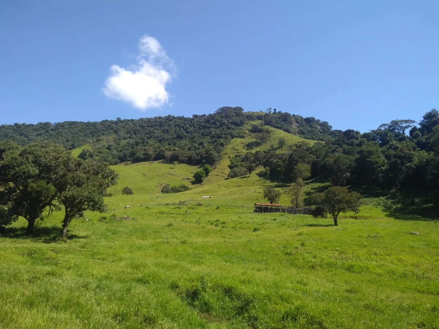 Imagem Chácara à venda 2 Quartos, 768000M², Zona Rural, Cunha - SP
