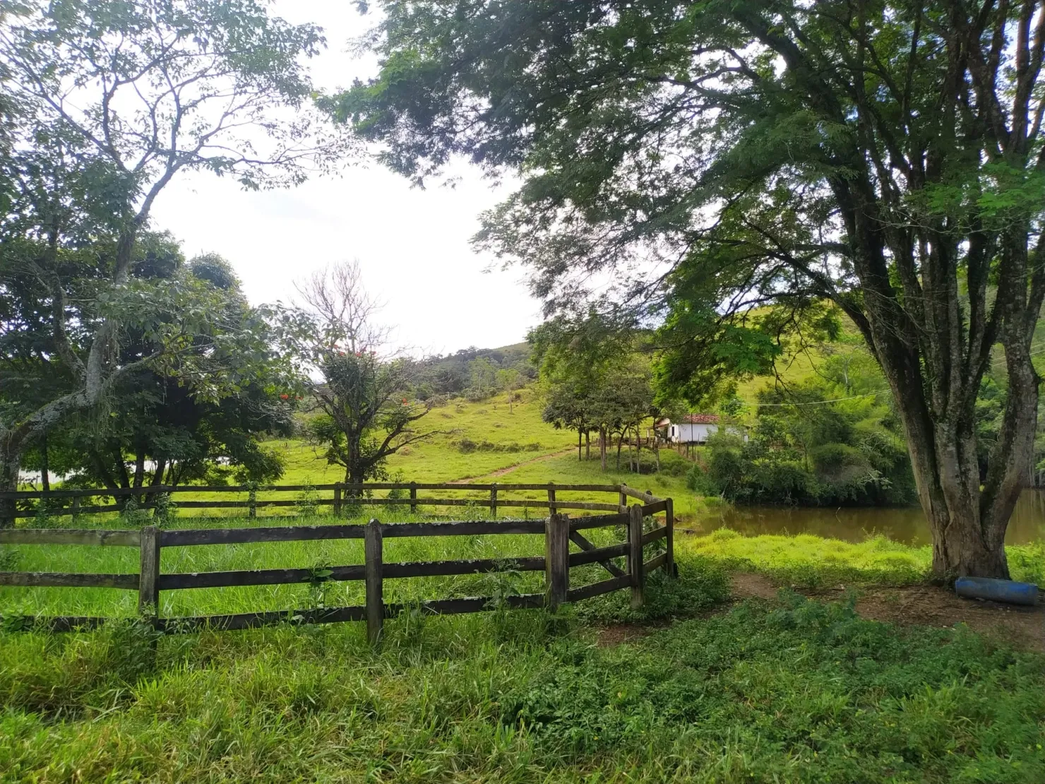 Imagem Chácara à venda 170000M², Bom Sucesso, Pindamonhangaba - SP