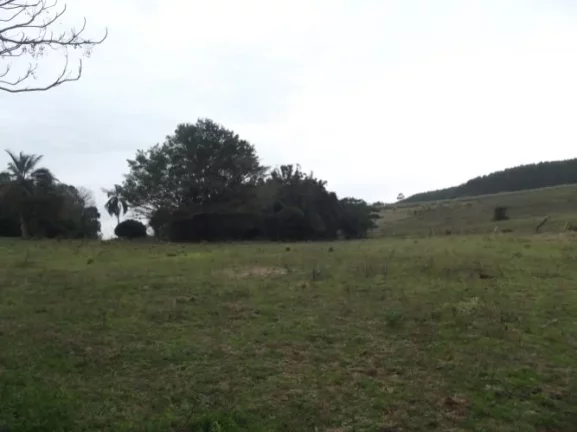 Imagem Sitio Rural com 10.8 hectares, Aguadas, Costa do Oveiro, Viamão/RS