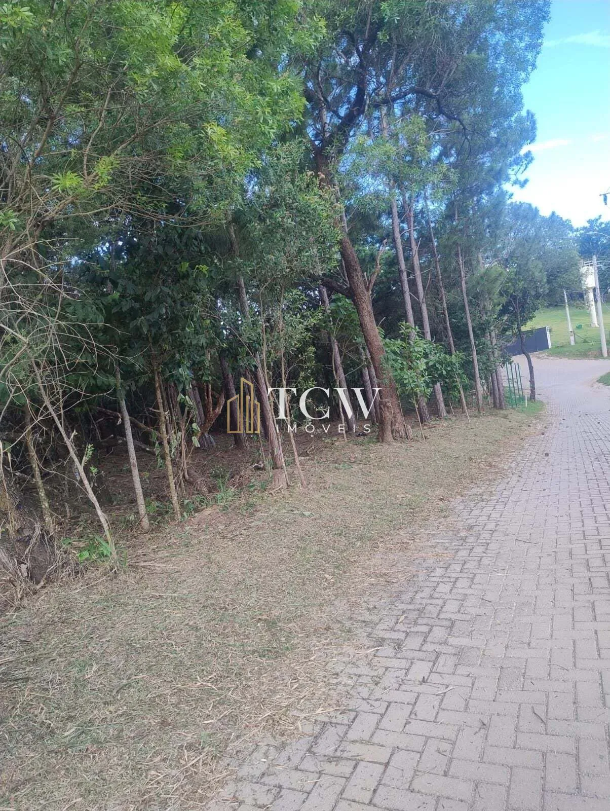 Imagem Terreno em Loteamento | 20.000m2 | ATIBAIA/SP