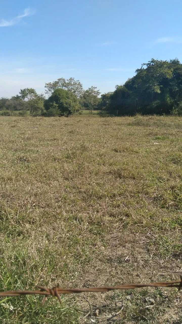 Imagem Chácara à venda 4774M², Zona Rural, Roseira - SP