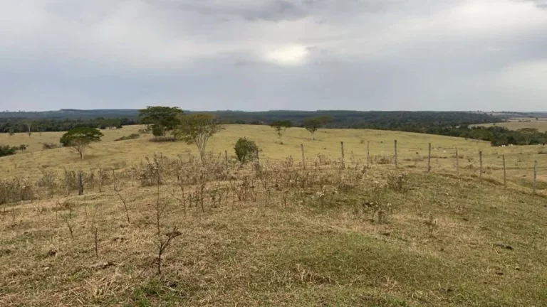 Foto do imóvel Fazenda à venda  Região Bauru/SP  235 alqueires em Área Rural