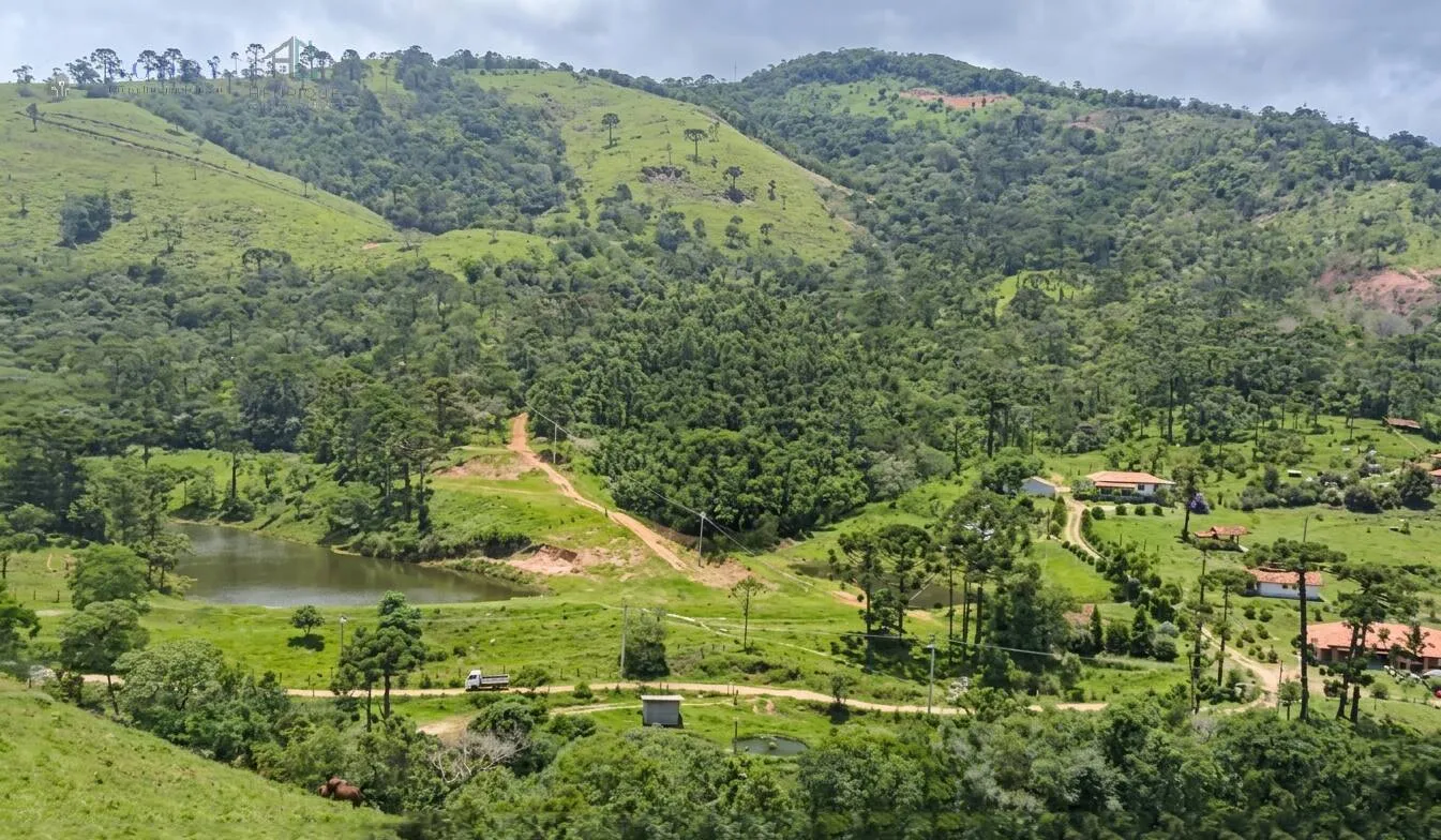 Foto do imóvel Área Rural à Venda em Cunha - Aproximadamente 40 Hectares