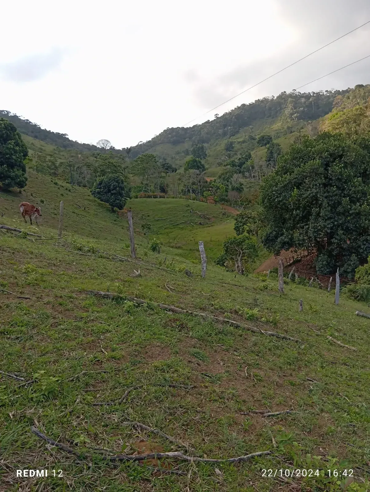 Imagem Fazenda à Venda, 300.000 m² em Ibirataia - Ibirataia