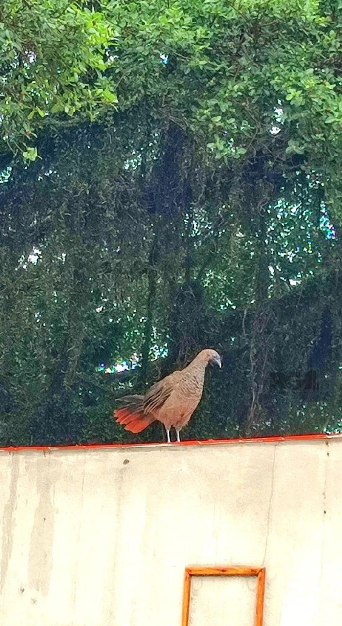 Imagem Casa de 155m² com 2 quartos, suíte, 2 vagas, no bairro Jardim Europa, Poa/RS