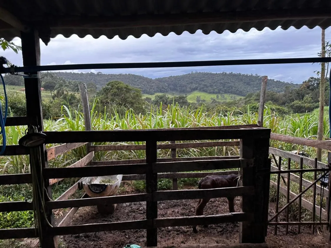 Foto do imóvel Vendo um ótimo terreno com 13 hectares de área total , em Crucilândia / MG