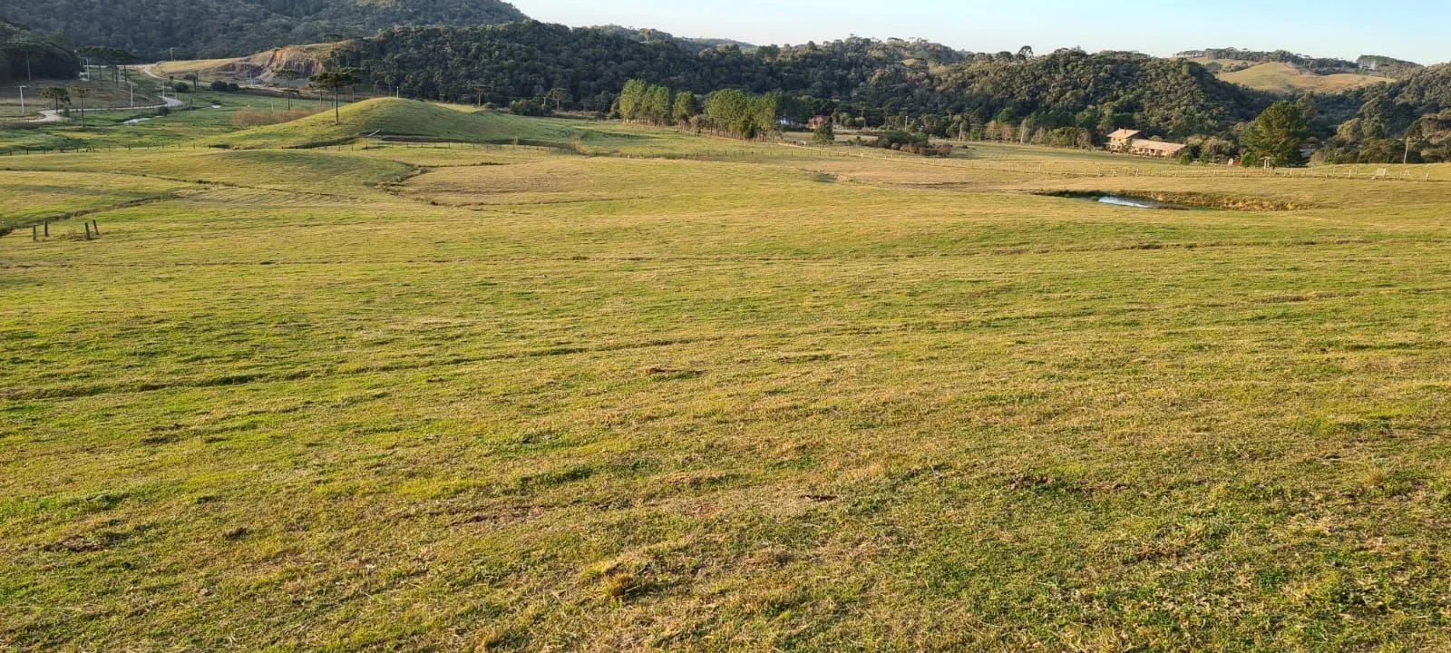 Imagem Oportunidade Única! Terreno com 4 Lagos e Escritura Pública em Rancho Queimado - 27,6 ha