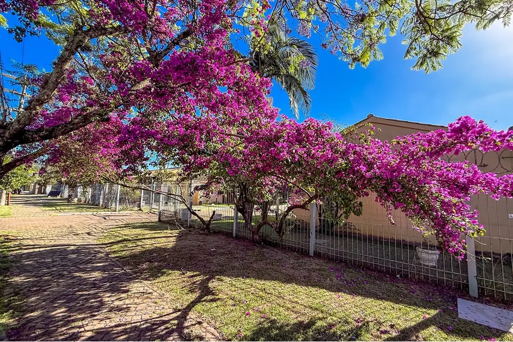 Imagem Casa de Condomínio em Rio Branco