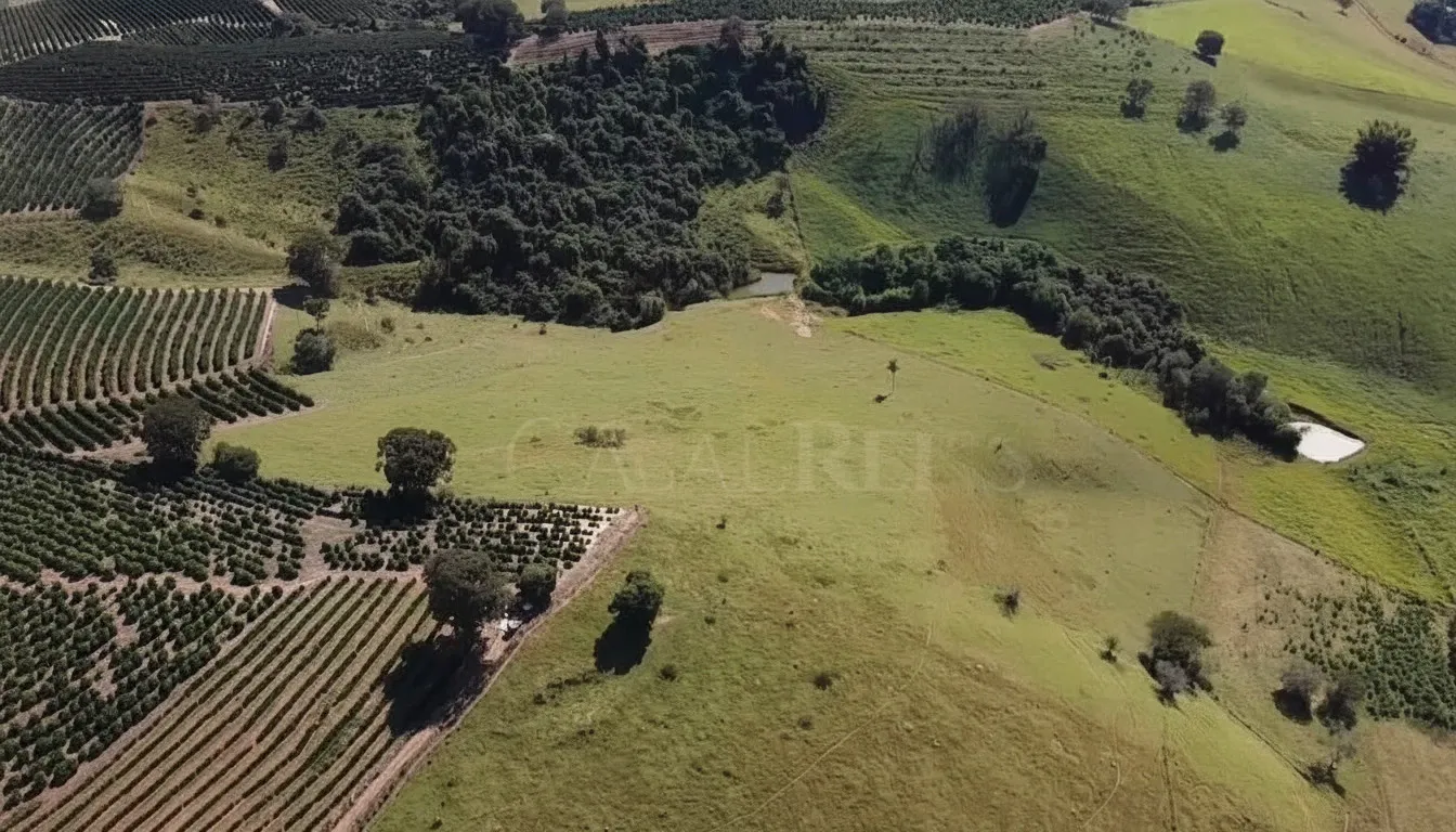 Imagem Sítio 5,4 ha à venda em Sertãozinho, Botelhos