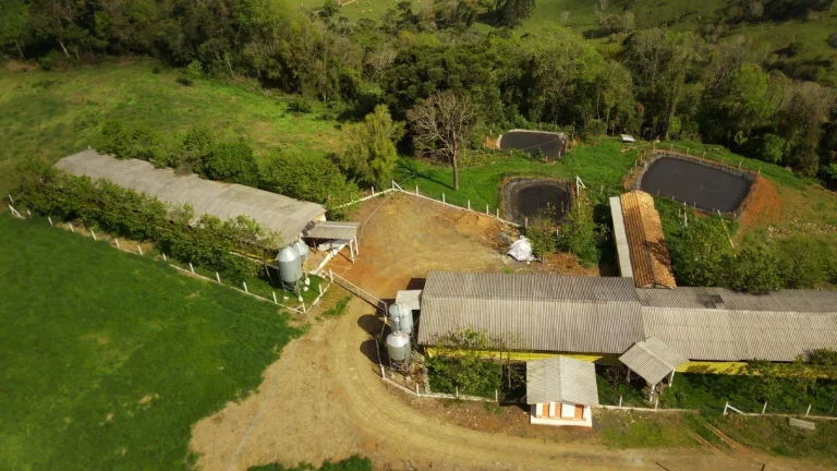Imagem Granja para Venda em Concórdia, Rural