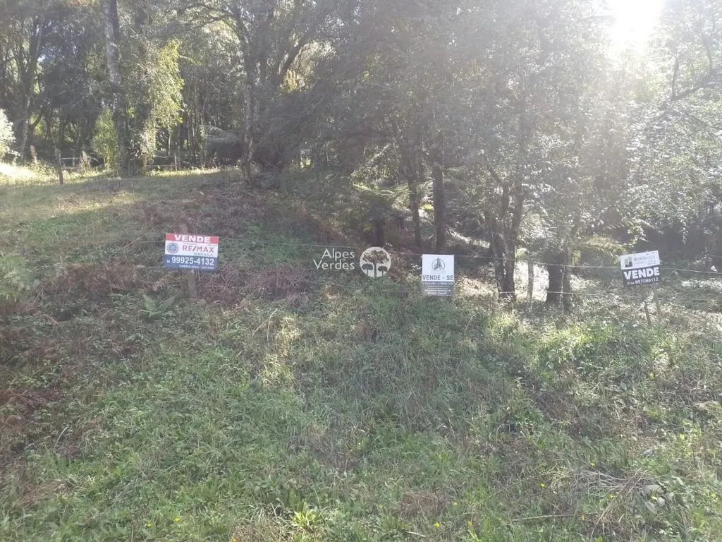 Imagem Terreno à Venda em Santa Terezinha, Canela - RS