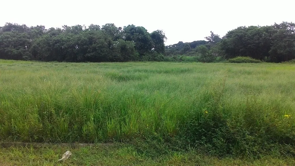 Imagem Terreno à venda 296M², Parque São Domingos, Pindamonhangaba - SP