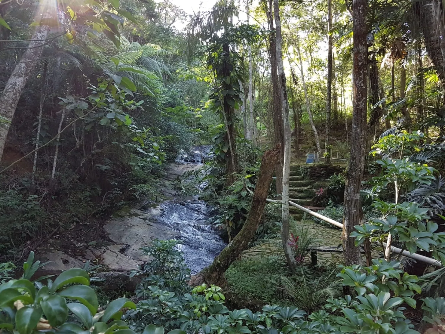 Foto do imóvel Chácara à venda 1 Quarto, 57596M², Pinga, Pindamonhangaba - SP
