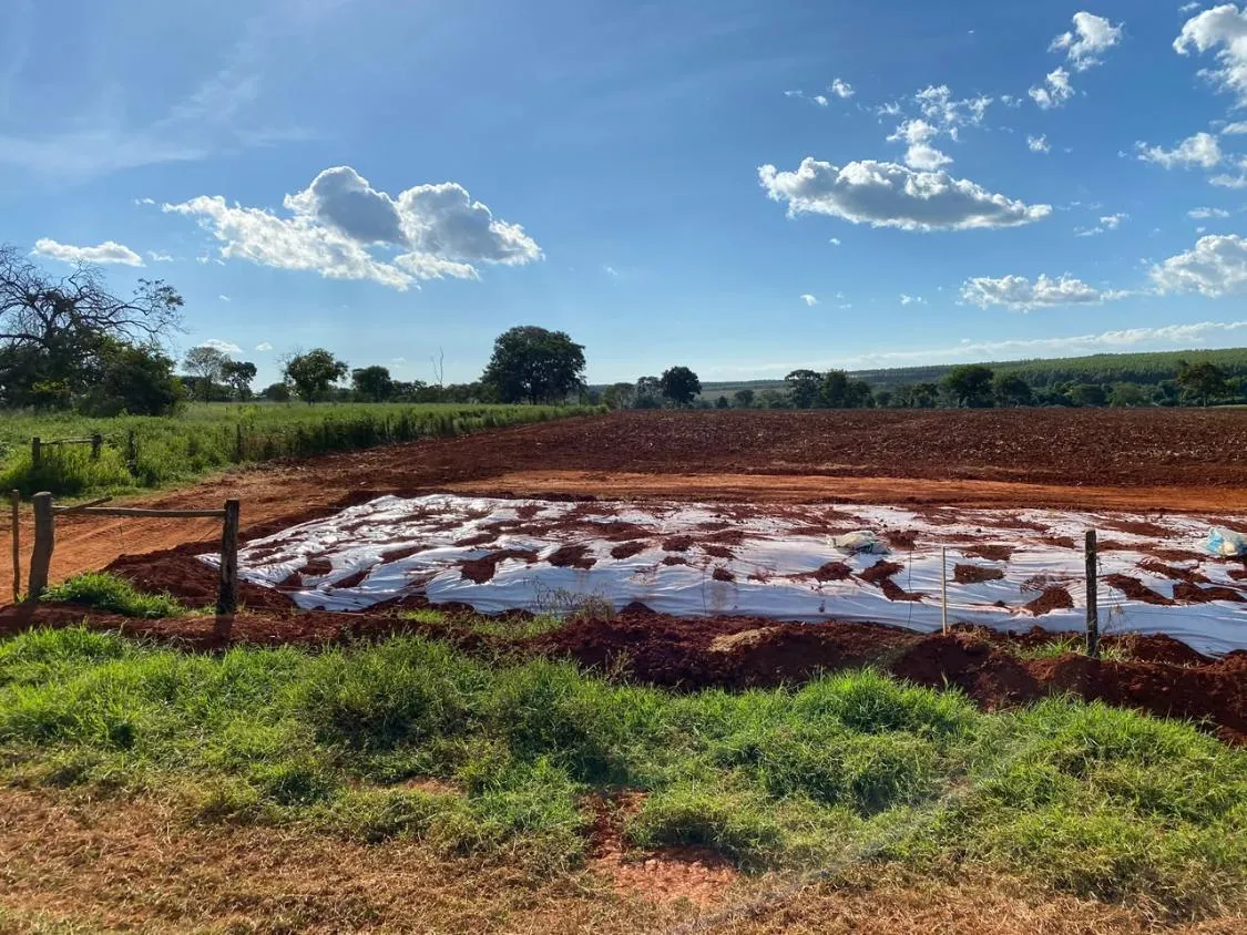 Imagem FAZENDA À VENDA EM FELIXLÂNDIA/MG | 105 HECTARES