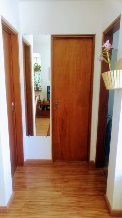 Imagem Apartamento com 2 Quartos à Venda, 53 m² em Vila Santa Teresinha - São Paulo
