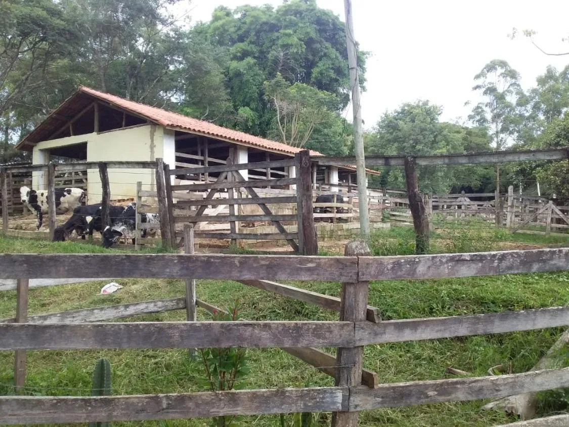 Imagem Terreno Espetacular à Venda em Carmópolis de Minas /MG 42 hectares de terra