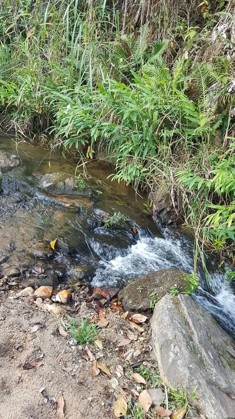 Imagem Chácara à venda 1 Quarto, 110000.25M², Água Preta, Pindamonhangaba - SP