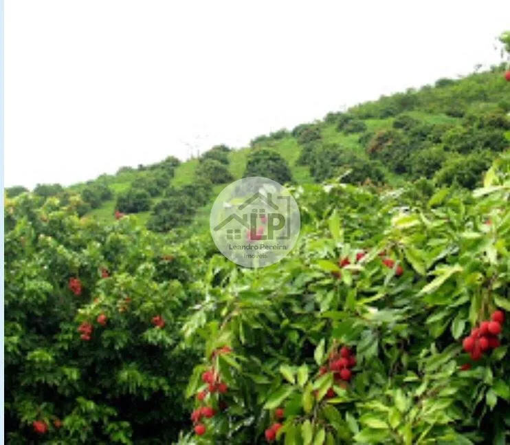 Imagem Fazenda/Sítios/Chácaras de 480000m² no bairro Carmo, em Carmo