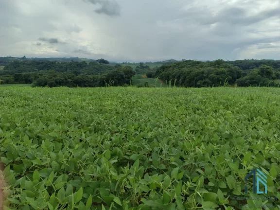 Imagem Terreno com 9,2 Alqueires, área verde ideal para plantio ou construção, em Campo Largo PR