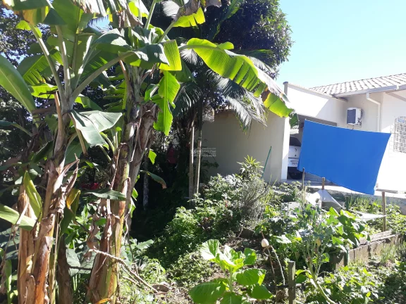 Imagem Casa a VENDA com Chácara de 849m², no Centro de SJBatista, a VENDA, Casa com chácara no centro de São João Batista. Ótima chácara no centro de SJBati