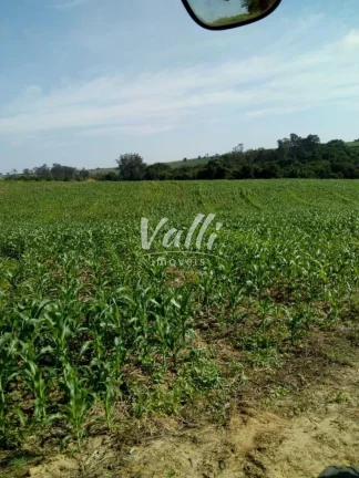Imagem Sitio INDUSTRIAL em Limeira - SP, Jardim Olga Veroni