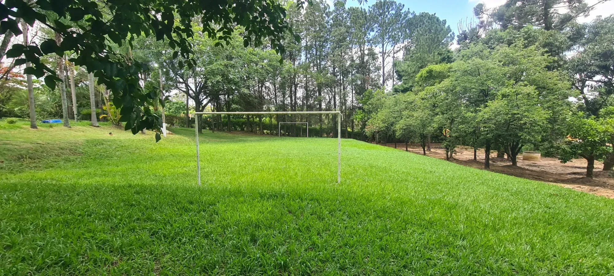 Foto do imóvel: Chácara com 3 Quartos à Venda, 367 m² em Área Rural de Cesário Lange - Cesário Lange