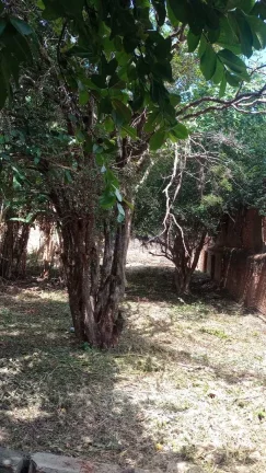 Imagem Terreno Padrão