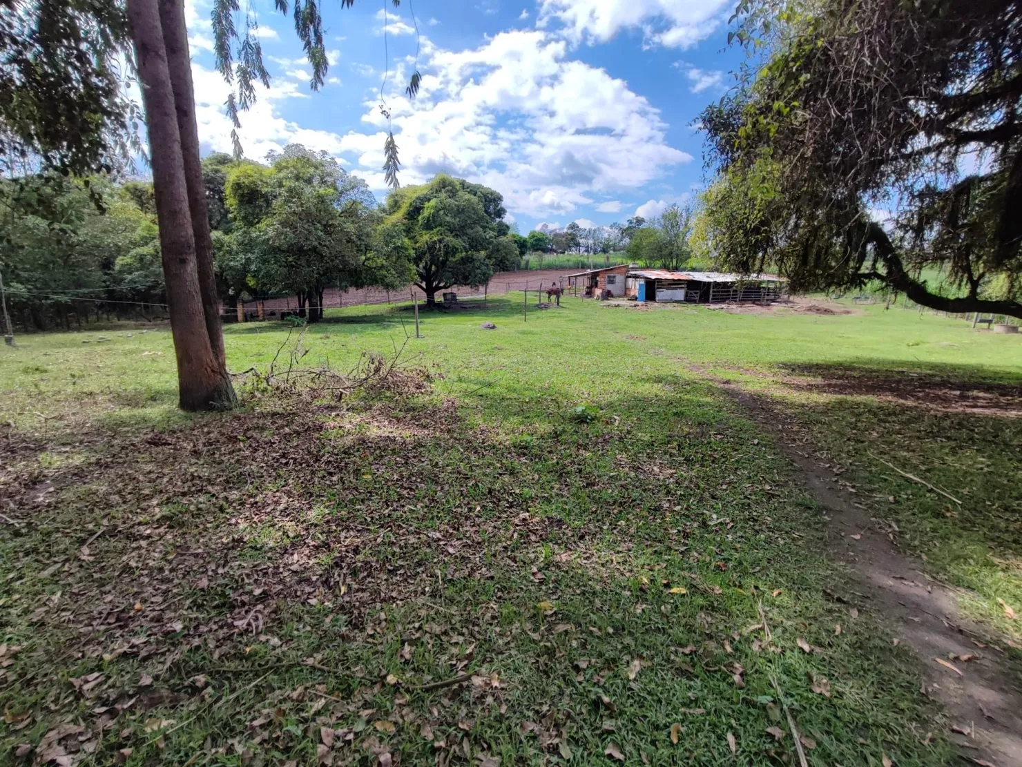 Imagem Chácara à venda 2 Quartos, 37000M², Figueira, Guaratinguetá - SP