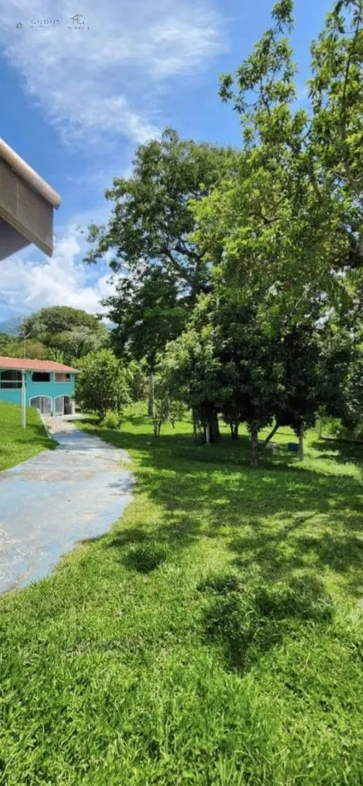 Imagem Grande Oportunidade: Chácara com 5 Suítes na Região de Campos do Jordão