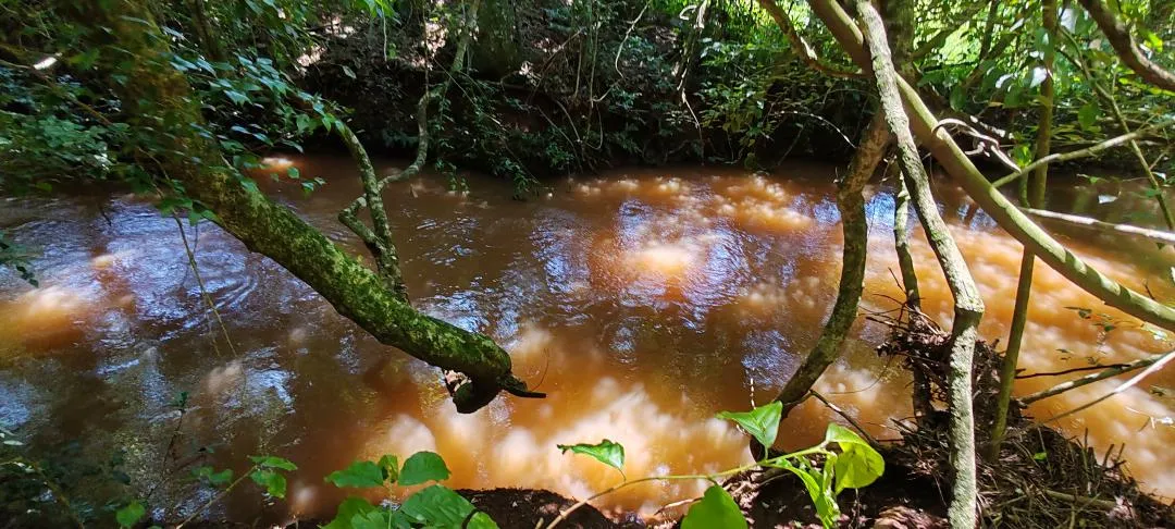 Imagem Chácara à venda em Cascavel - São Salvador - Lavoura e Rio