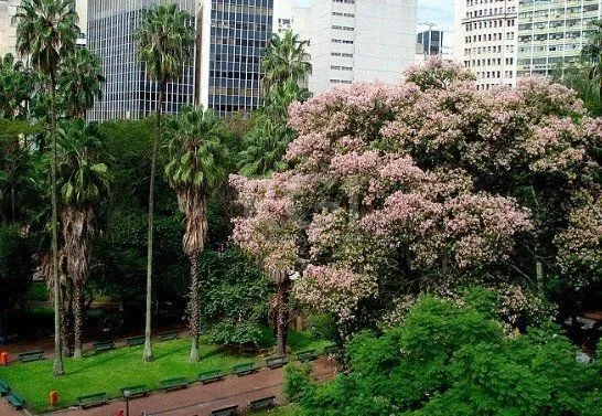 Imagem Conjunto/Sala para Venda - 255.37m², 0 dormitórios, Centro Histórico