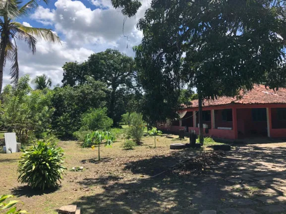 Foto do imóvel Fazenda à Venda ou Locação, 25.000 m² em Aurora - São Luís