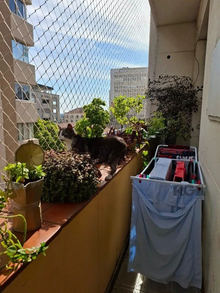 Imagem Amplo apartamento no beiro Floresta