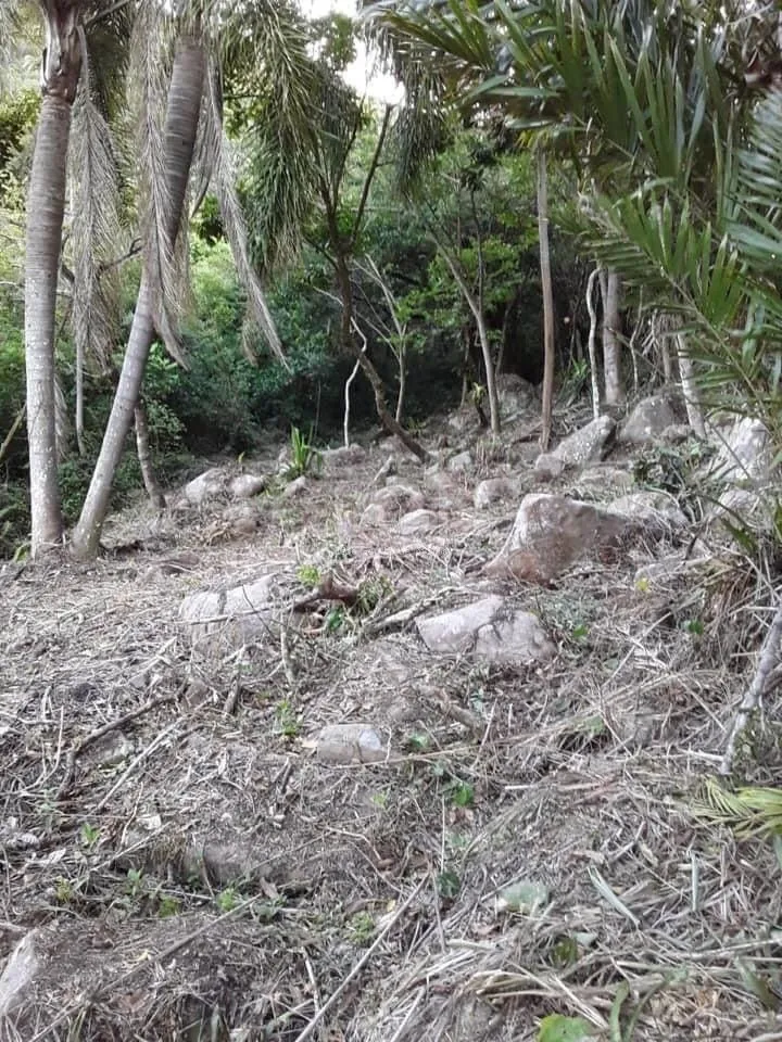Imagem Terreno para Venda - 0m², 0 dormitórios, Gamboa, Garopaba