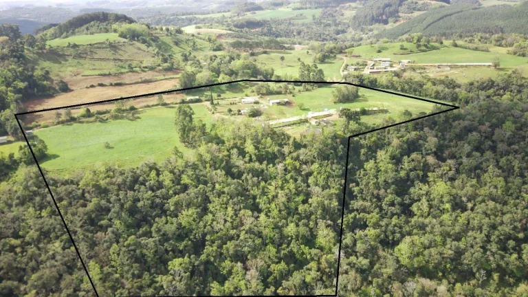 Imagem Granja para Venda em Concórdia, Rural