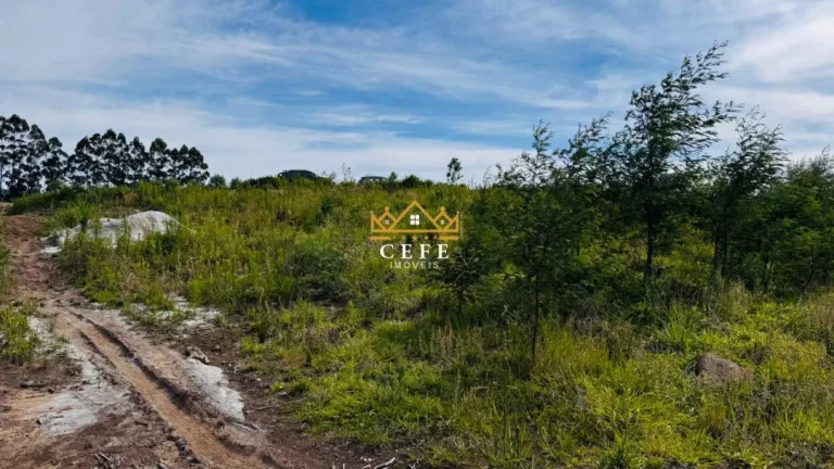 Imagem Chácara - Sítio com 2 Dormitorio(s) localizado(a) no bairro Zona Rural em Santa Maria do Herval / RIO GRANDE DO SUL Ref.:1593