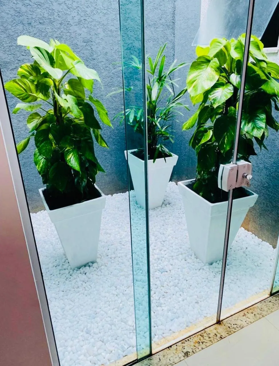 Imagem Ampla Residência com Área Gourmet e Pomar em Terreno Generoso de 906 m²: Conforto e Funcionalidade em Cada Detalhe