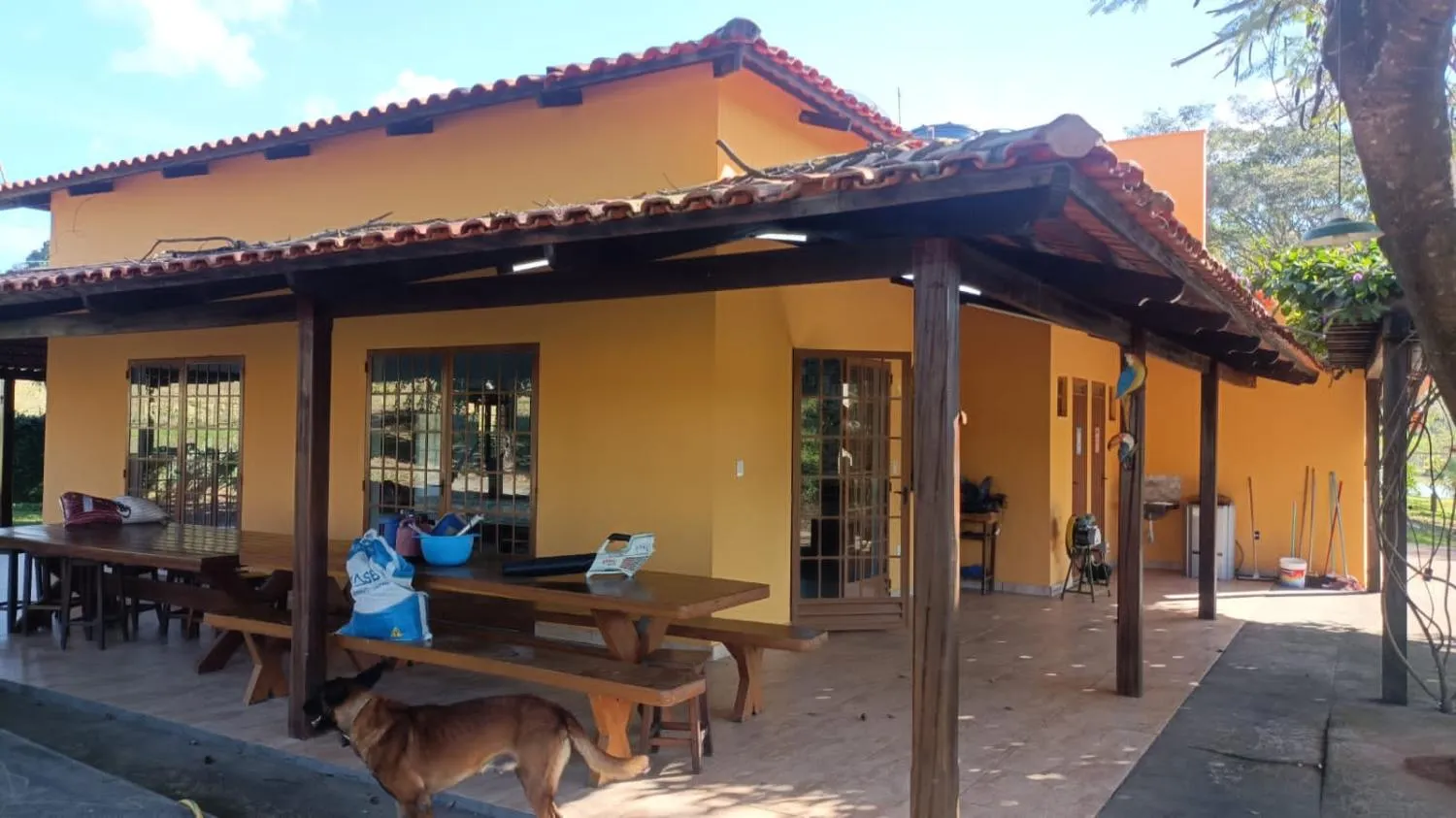 Imagem Vendo um magnífico sítio em Perdigão/MG com 64.000 m² de extensão