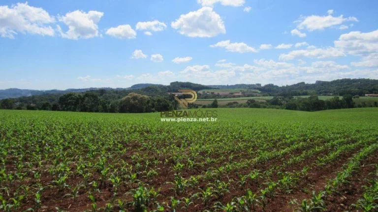 Imagem Área para Loteamento para Venda em Concórdia, São Cristóvão
