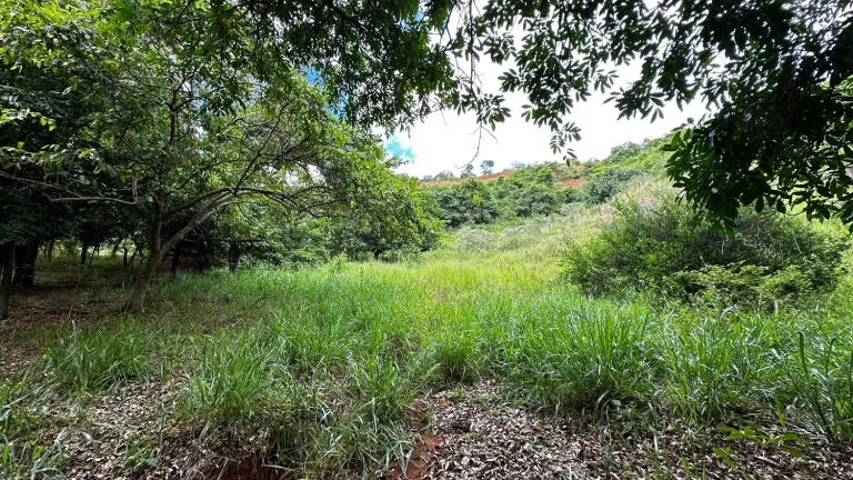 Imagem Terreno de aproximadamente 47 hectares no Periquito MG