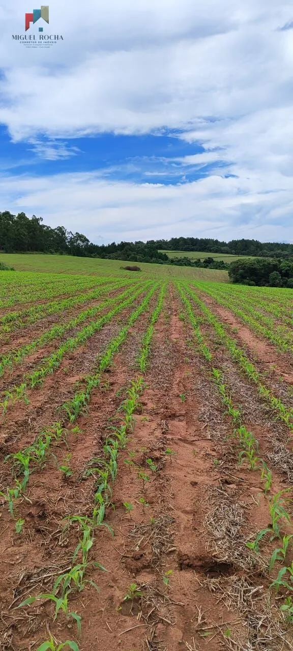 Imagem Fazenda a venda São Miguel Arcanjo SP