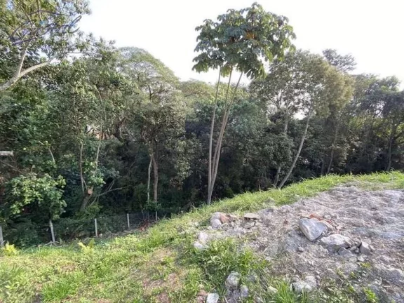 Imagem Terreno em condômino voltado para área de preservação