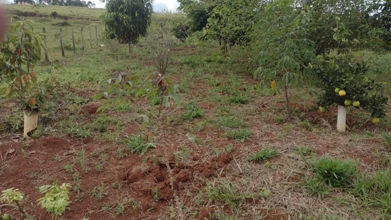Imagem Vendo Sítio em Lagoa Dourada / MG , com 12.500 m² de área.