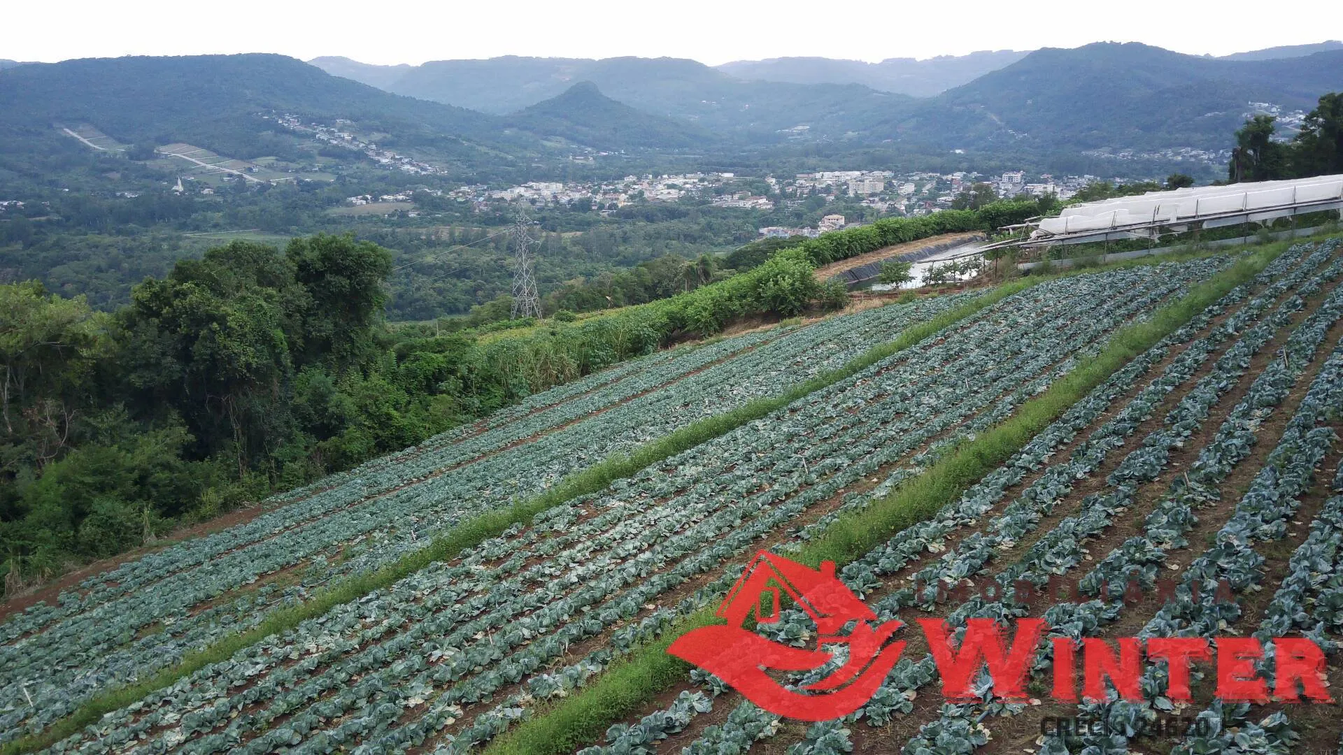 Imagem Área de terras com 16.871m2 no Picão - Feliz