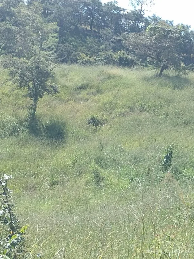 Imagem Ótima Oportunidade em Itaguara/MG: Terreno de 6 Hectares no Povoado Boa Vista