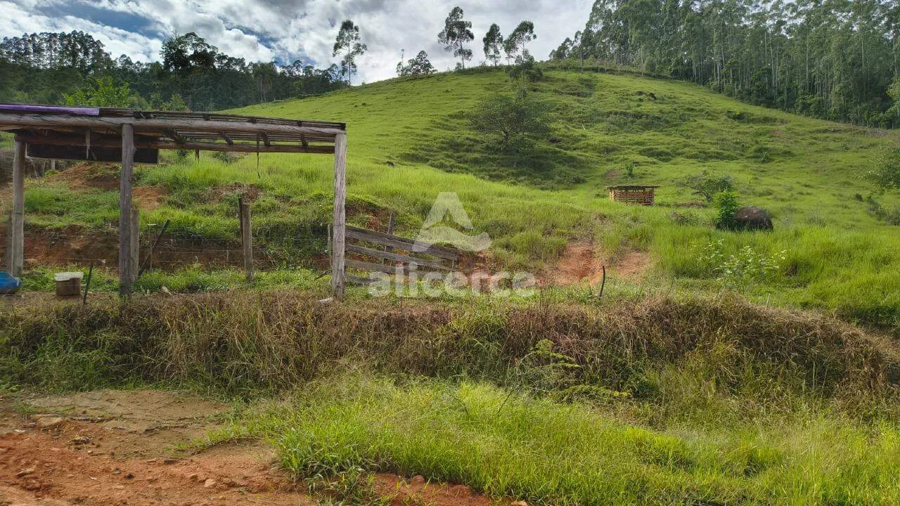 Imagem Sítio à venda com , 36.060m² em Área Rural de Biguaçu Biguaçu