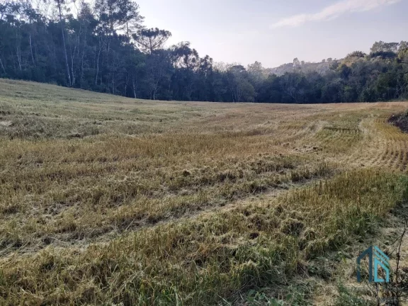 Imagem Sítio com 121.000 mil m² a venda, com Infra estrutura, no IRETEMA /Campo Mourão PR