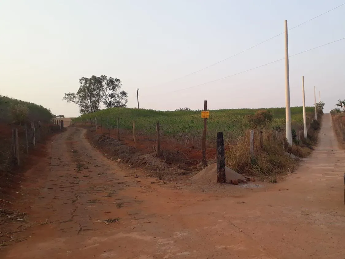 Imagem CHÁCARAS À VENDA EM CRUCILÂNDIA - MG com 10.000 m², toda plana