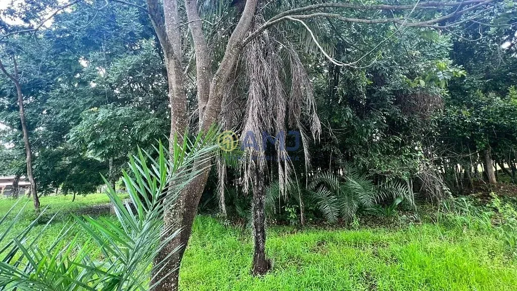 Imagem Terreno no Condomínio Cuntryville